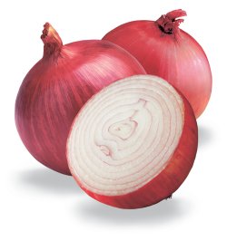 quercitin in onion skin