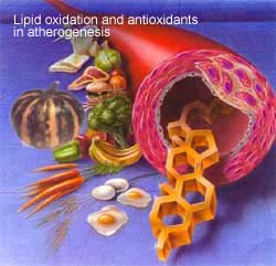 antooidants for atherosclerosi