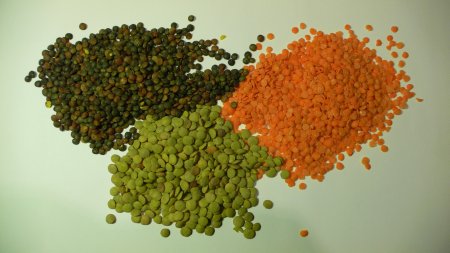three types of lentils