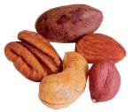 Different Types of Nuts