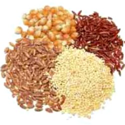 Why Low GI Foods Are Good For You