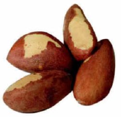 buy organic Brazil nuts from Goodness Direct