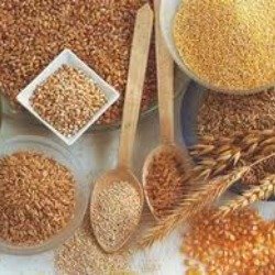 What Are Whole Grains?